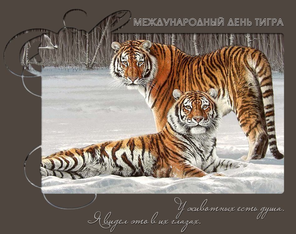 Виртуальная открытка на День тигра