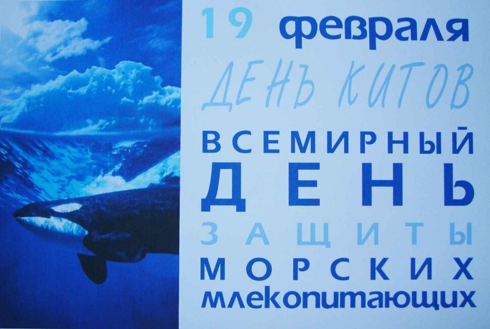 Виртуальная открытка на Всемирный день китов