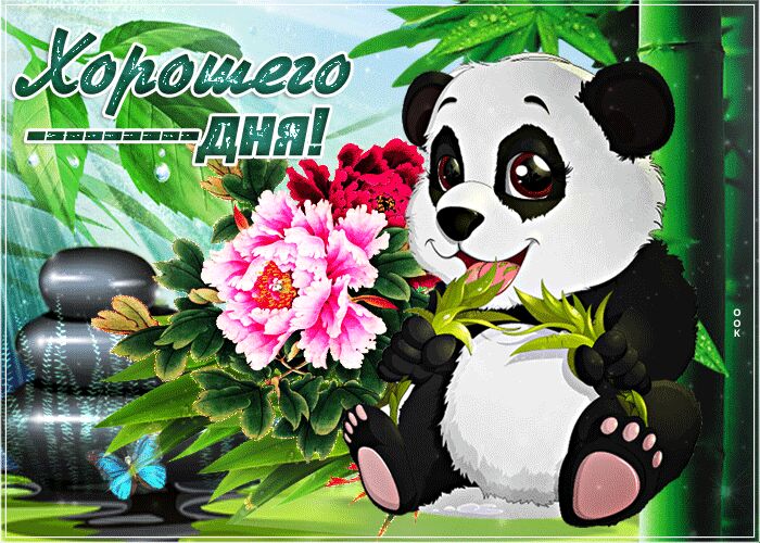 Хорошего дня! Анимашка с пандой, бабочками и цветами