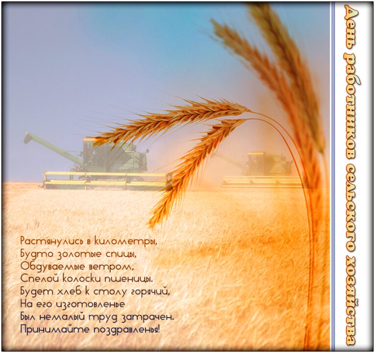 Музыкальная открытка на День сельского хозяйства