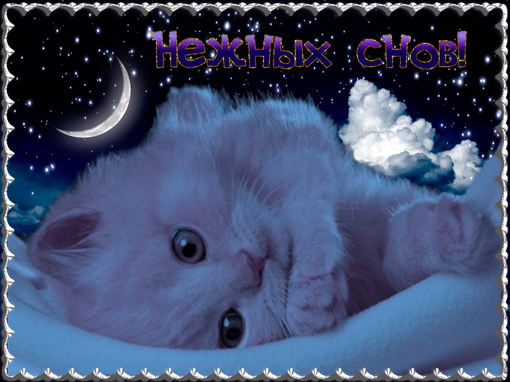 Споки сладкий. Сладких снов красивые. Открытки спокойной ночи. Добрых нежных снов. Спокойной ночи котики.