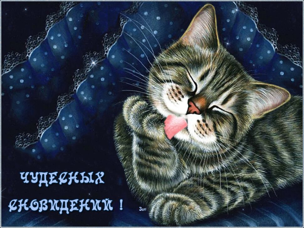 Спокойной ночи картинки с котиками и надписями