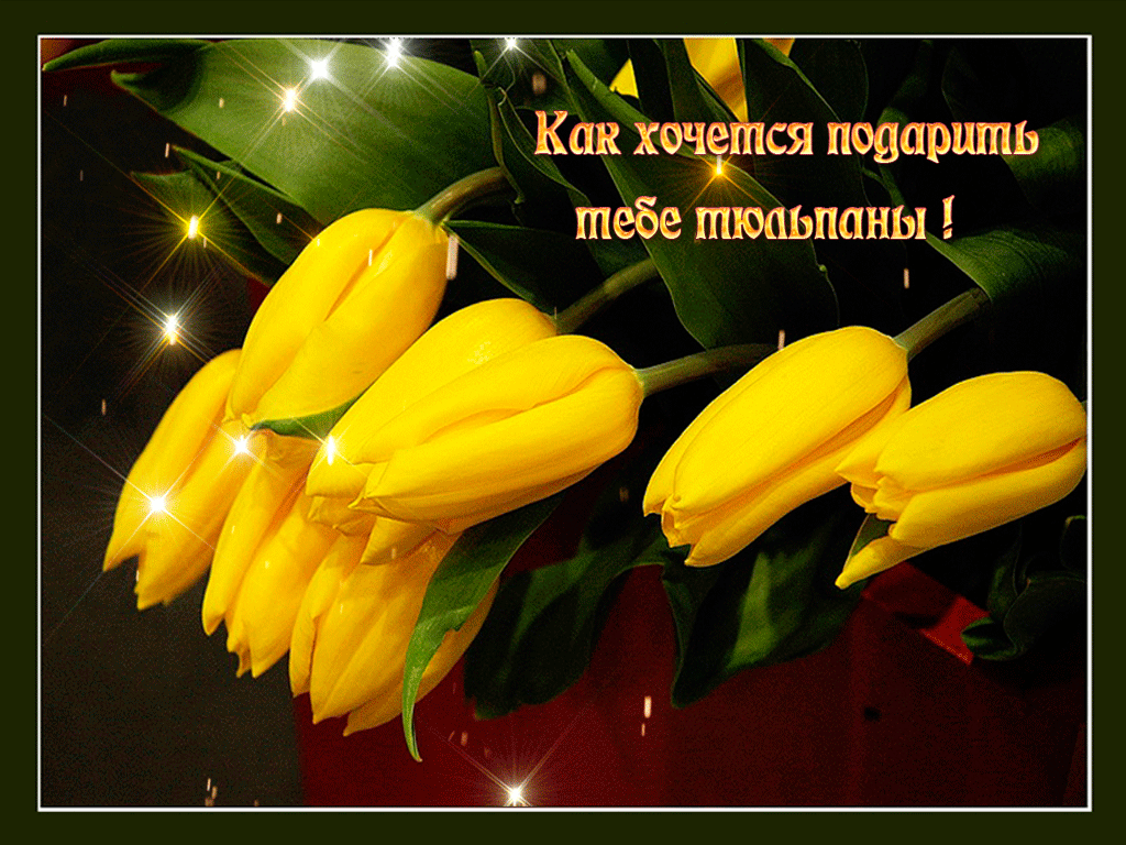 С днем тюльпанов картинки с надписями. Открытка с желтыми тюльпанами. С днём рождения тюльпаны. Открытки желтые тюльпаны с днем рождения. Желтые тюльпаны поздравление с днем рождения.