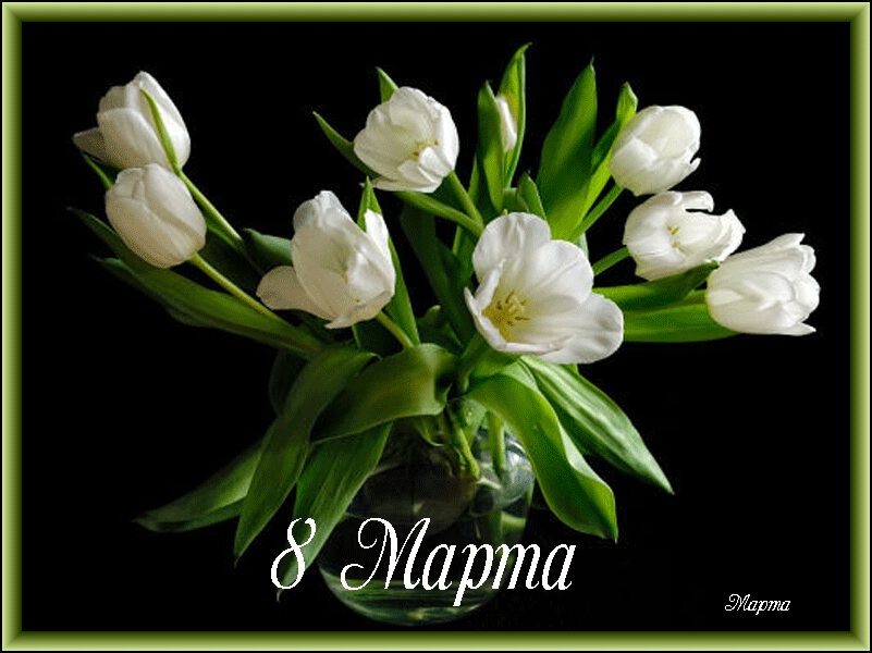 Гиф с белыми тюльпанами на 8 марта
