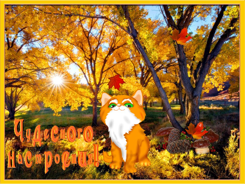 Осенняя гиф открытка с добрым пожеланием