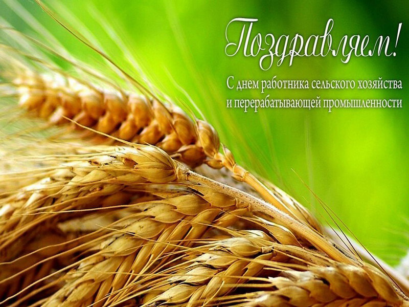 Скачать простую открытку на День сельского хозяйства