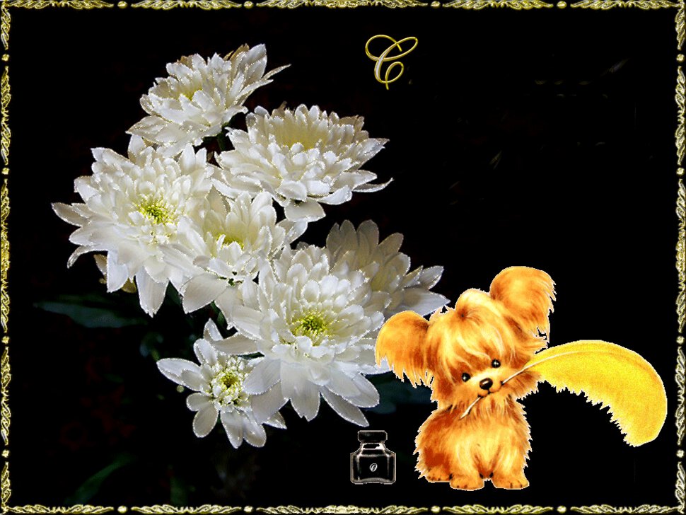 Открытка с белыми хризантемами подруге