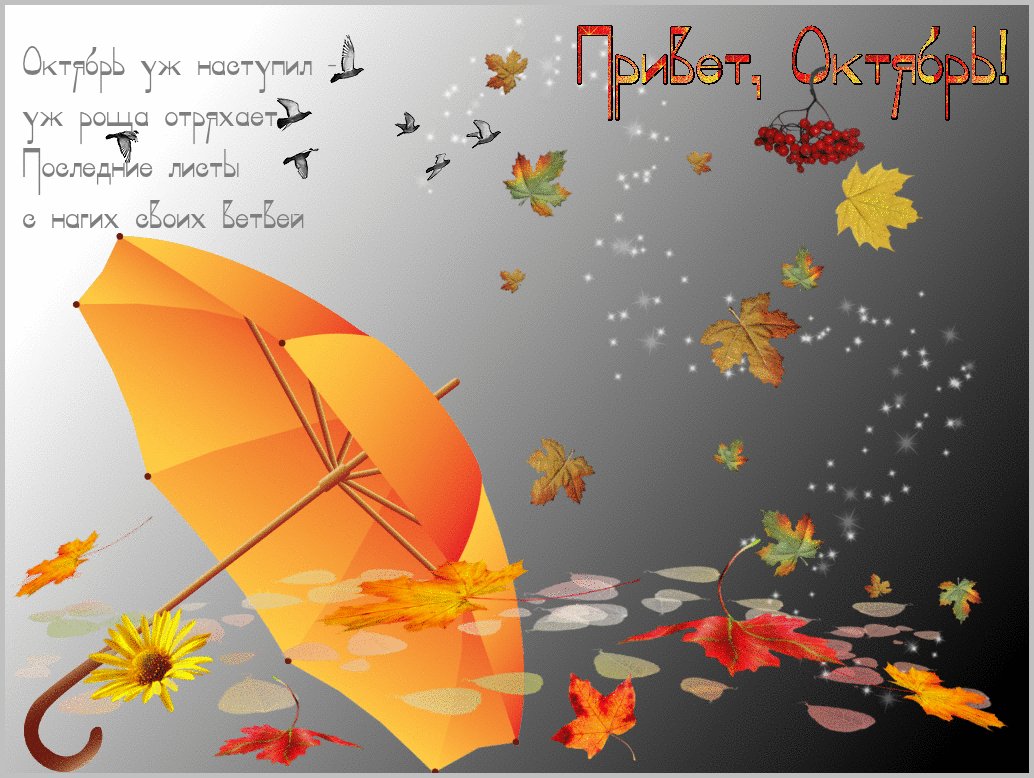 Дни в октябре ветреные и дождливые. Осенние открытки. Открытка с зонтиком. Октябрь открытки. Здравствуй осень октябрь.