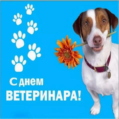 Яркая открытка на Международный день ветеринара