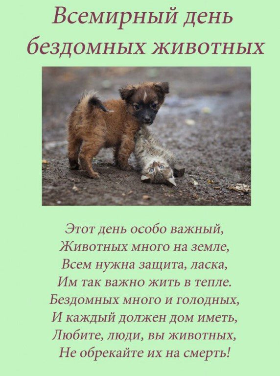Бесплатная открытка на День бездомных животных