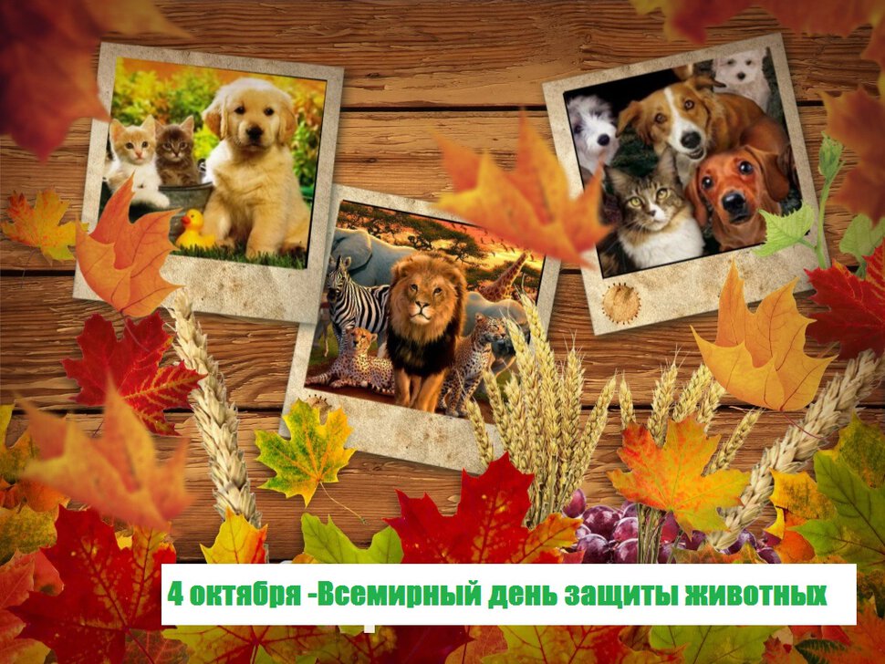 Бесплатная красивая открытка на День животных