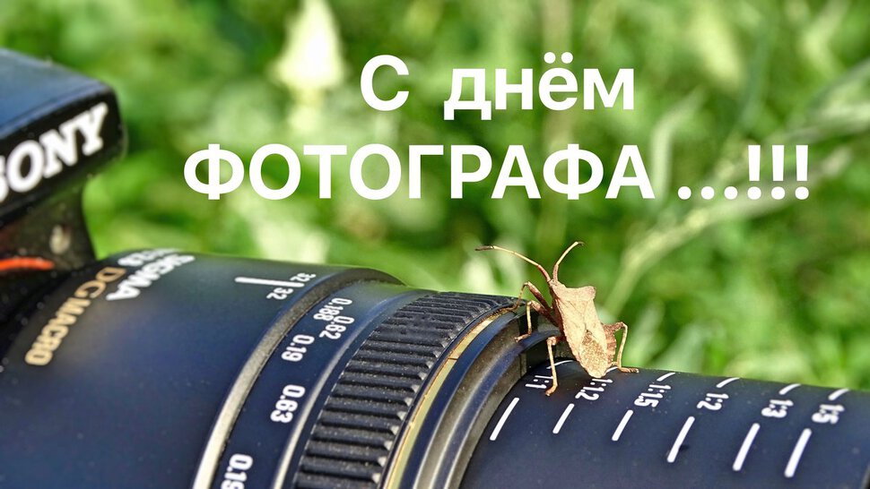 Виртуальная открытка на День фотографа