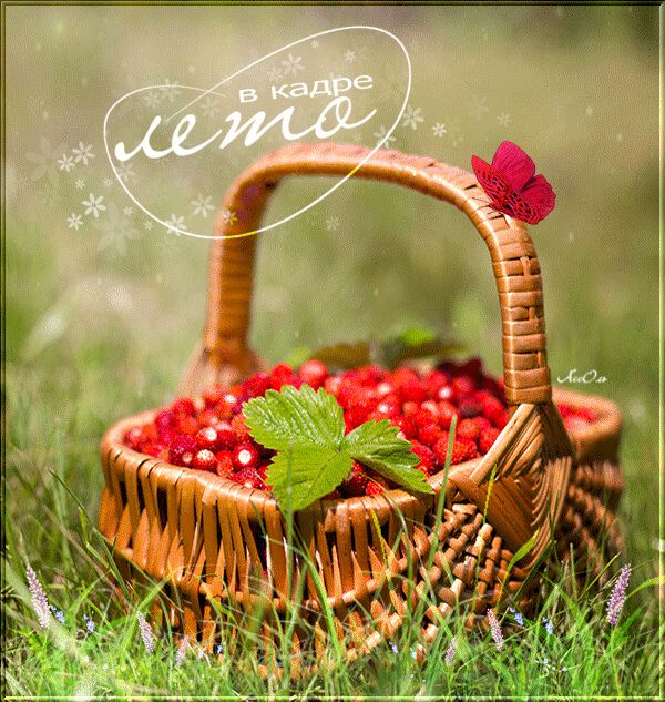 Летняя открытка с корзинкой ягод