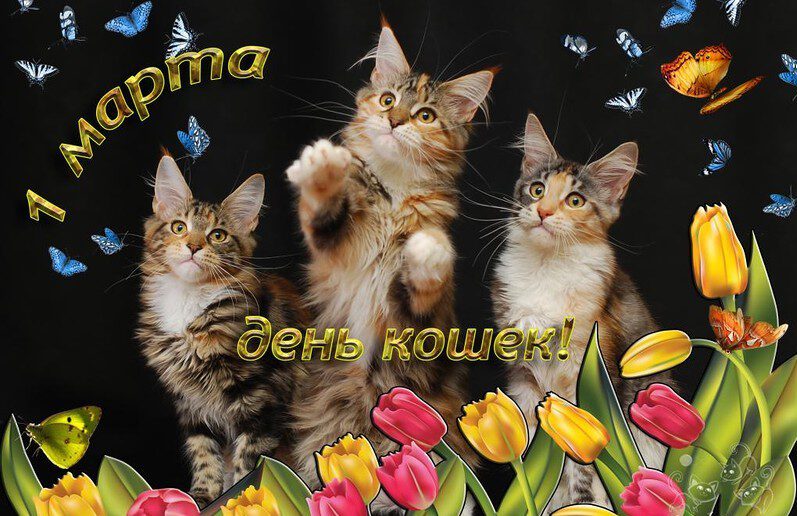 Милая открытка на День Кошек с тюльпанами