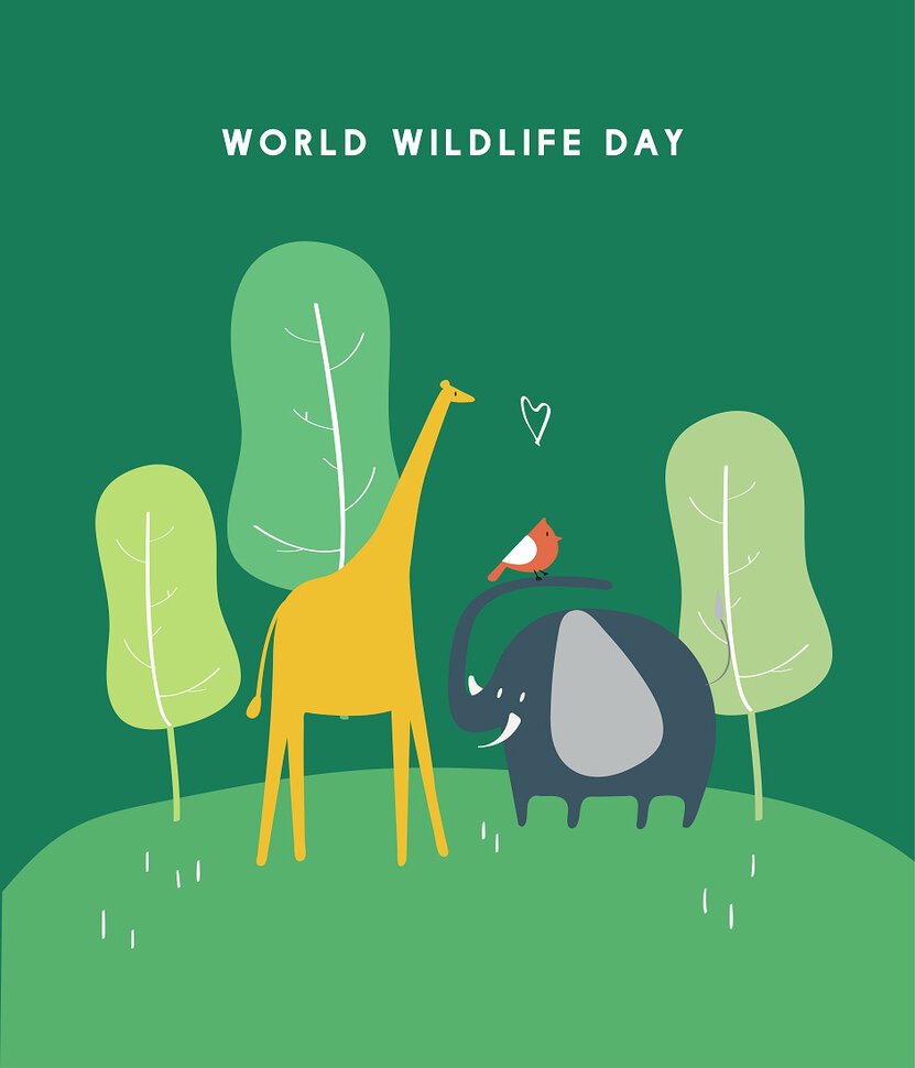 Скачать необычную открытку на День дикой природы