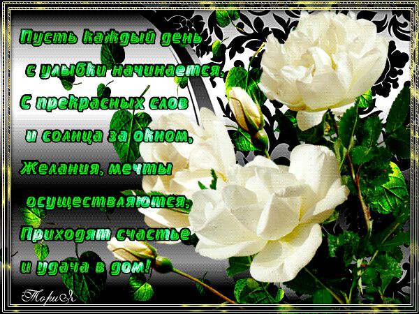 Исполнение желаний в стихах с белыми розами