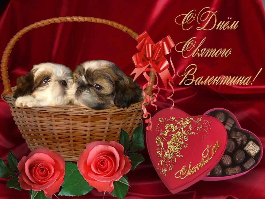 https://www.sunhome.ru/i/cards/31/milaya-otkritka-na-den-svyatogo-valentina.orig.jpg