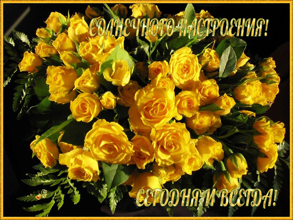 Открытка с букетом желтых роз Солнечного настроения
