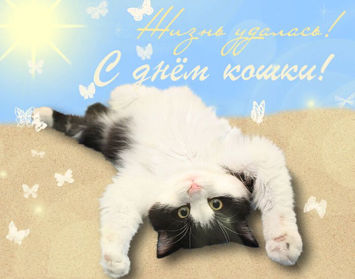 Скачать бесплатную открытку с Днем кошек