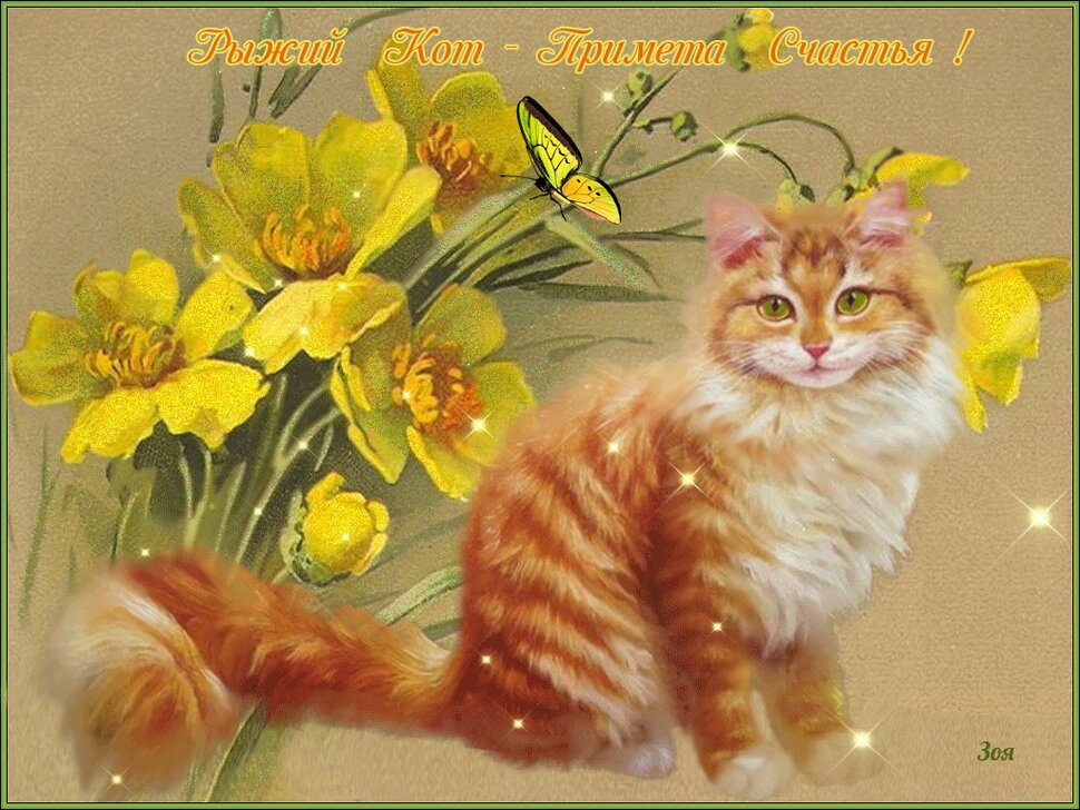 Гифка с рыжим котом на счастье и цветами
