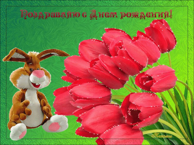 Открытка с игрушечным зайцем и розовыми тюльпанами