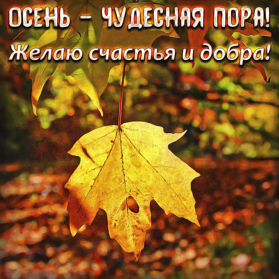 Бесплатная яркая открытка с Осенними Пожеланиями