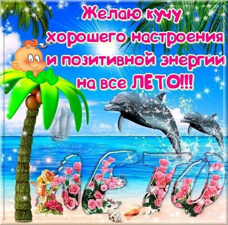 Позитивная летняя открытка с дельфинами