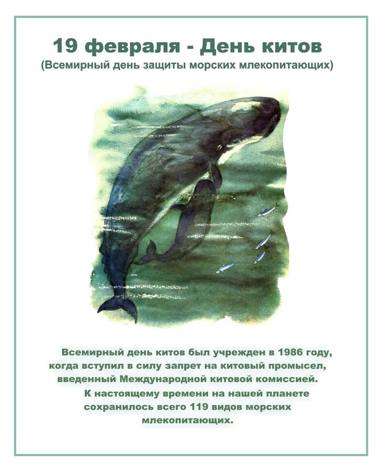 Необычная открытка на Всемирный день китов