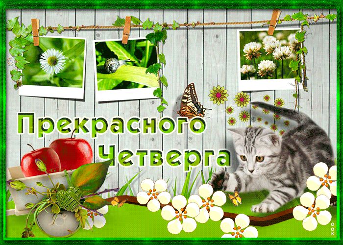 Удачи В Четверг Картинки