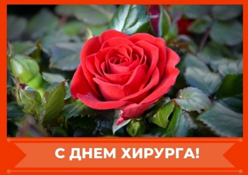 Бесплатная красивая открытка на День хирурга