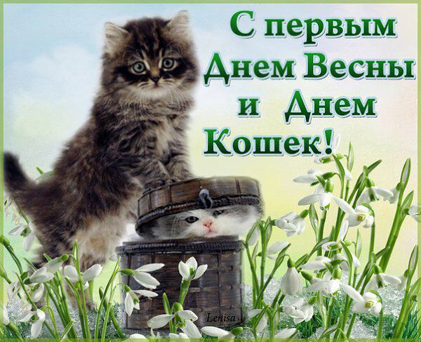 Бесплатная милая открытка с Днем кошек