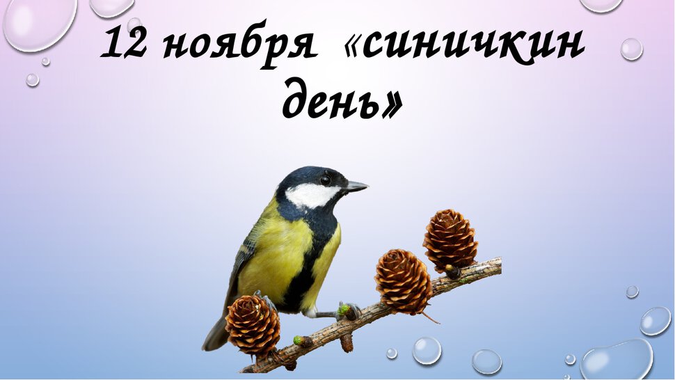 Виртуальная открытка на Синичкин день