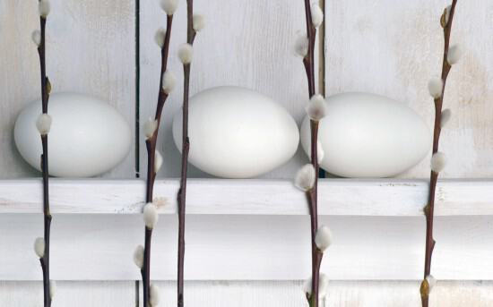 Яйца с веточками вербы на праздник Пасхи