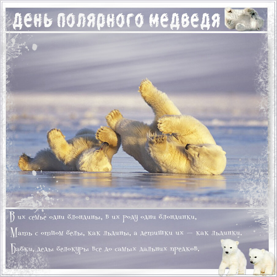 Прикольная открытка на День Полярного Медведя