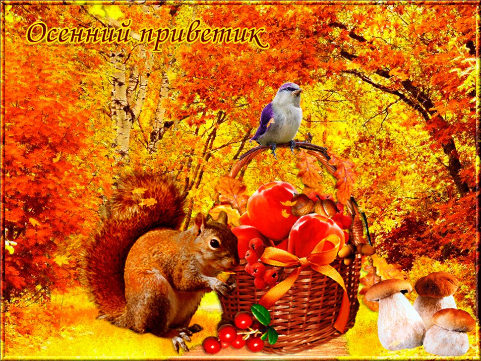 Яркая гиф открытка с Осенним Приветом
