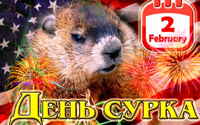 Яркая открытка на День Сурка