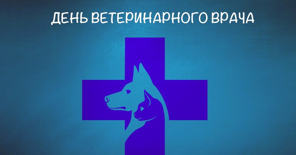 Открытка с поздравлением на День ветеринара