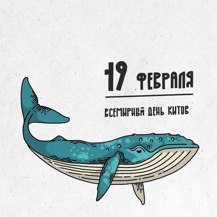 Классная открытка на Всемирный день китов
