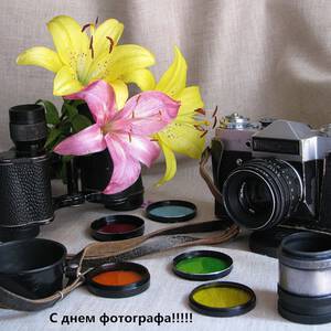 Мерцающая открытка на День фотографа и красивая картинка поздравление ...