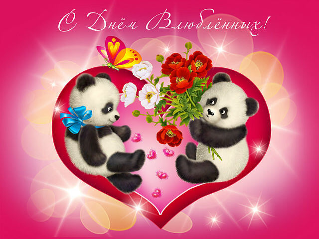 Маленькие панды в День влюбленных
