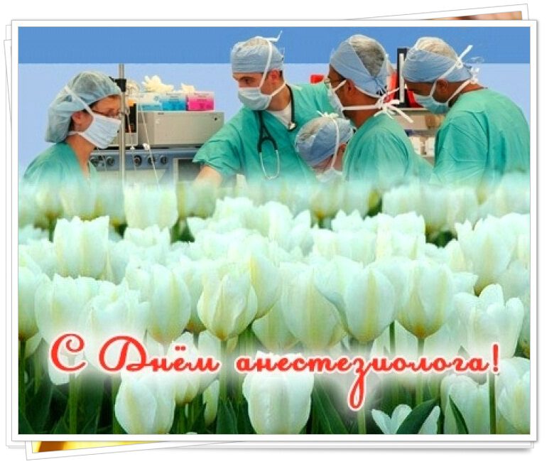 Открытка на День анестезии с тюльпанами