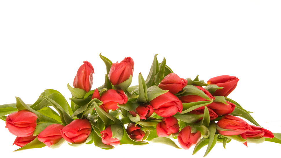 Красивая открытка с букетом цветов тюльпанов