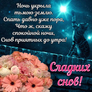 Скачать простую открытку с пожеланием Сладких Снов