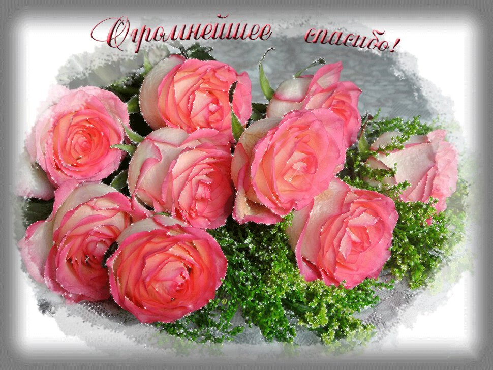 Открытка с розовыми розами в благодарность