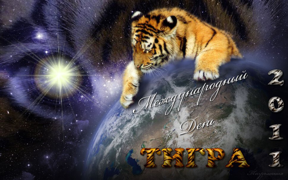 Яркая открытка на День тигра