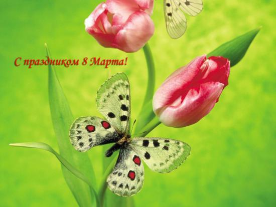 8 марта открытка с бабочками и тюльпанами