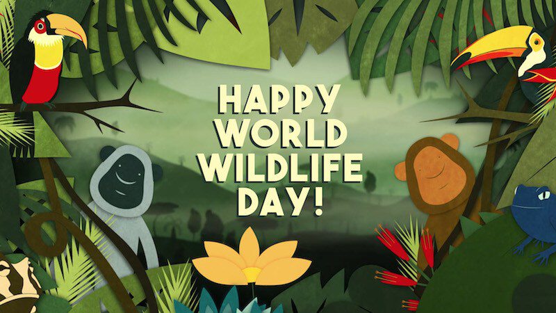 Скачать красочную открытку на День дикой природы