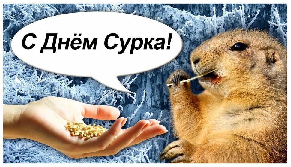 Бесплатная яркая открытка на День Сурка