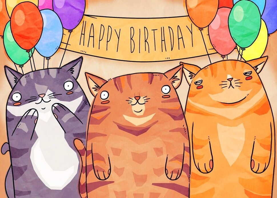 Смешные кошки с воздушными шариками в день рождения