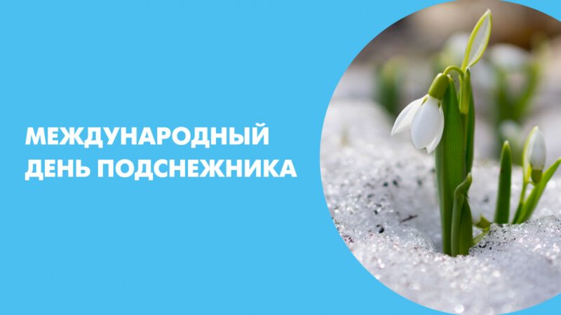 Яркая открытка с Днем подснежника